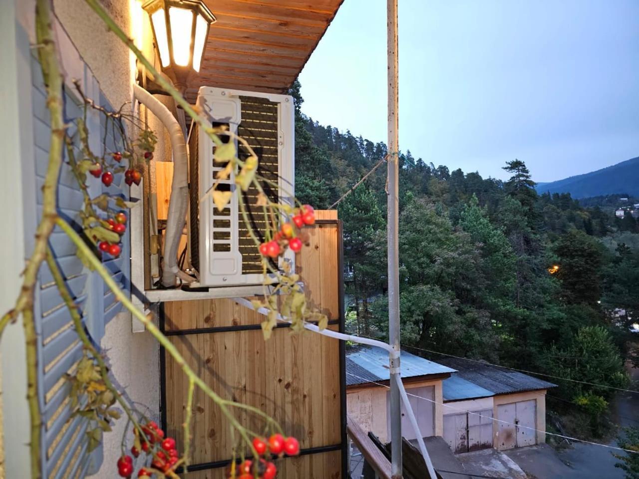 Guest House Likani 2017 Borjomi Oda fotoğraf