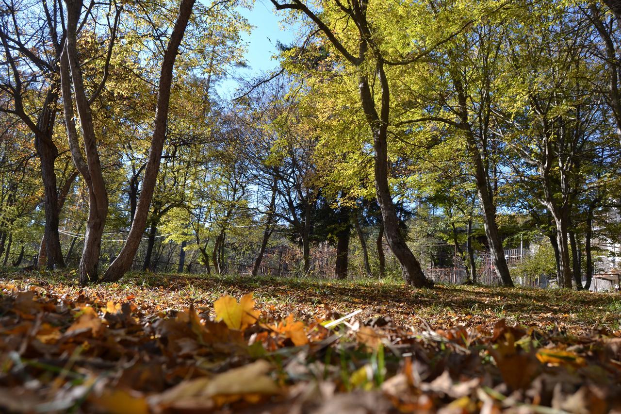 Guest House Likani 2017 Borjomi Dış mekan fotoğraf