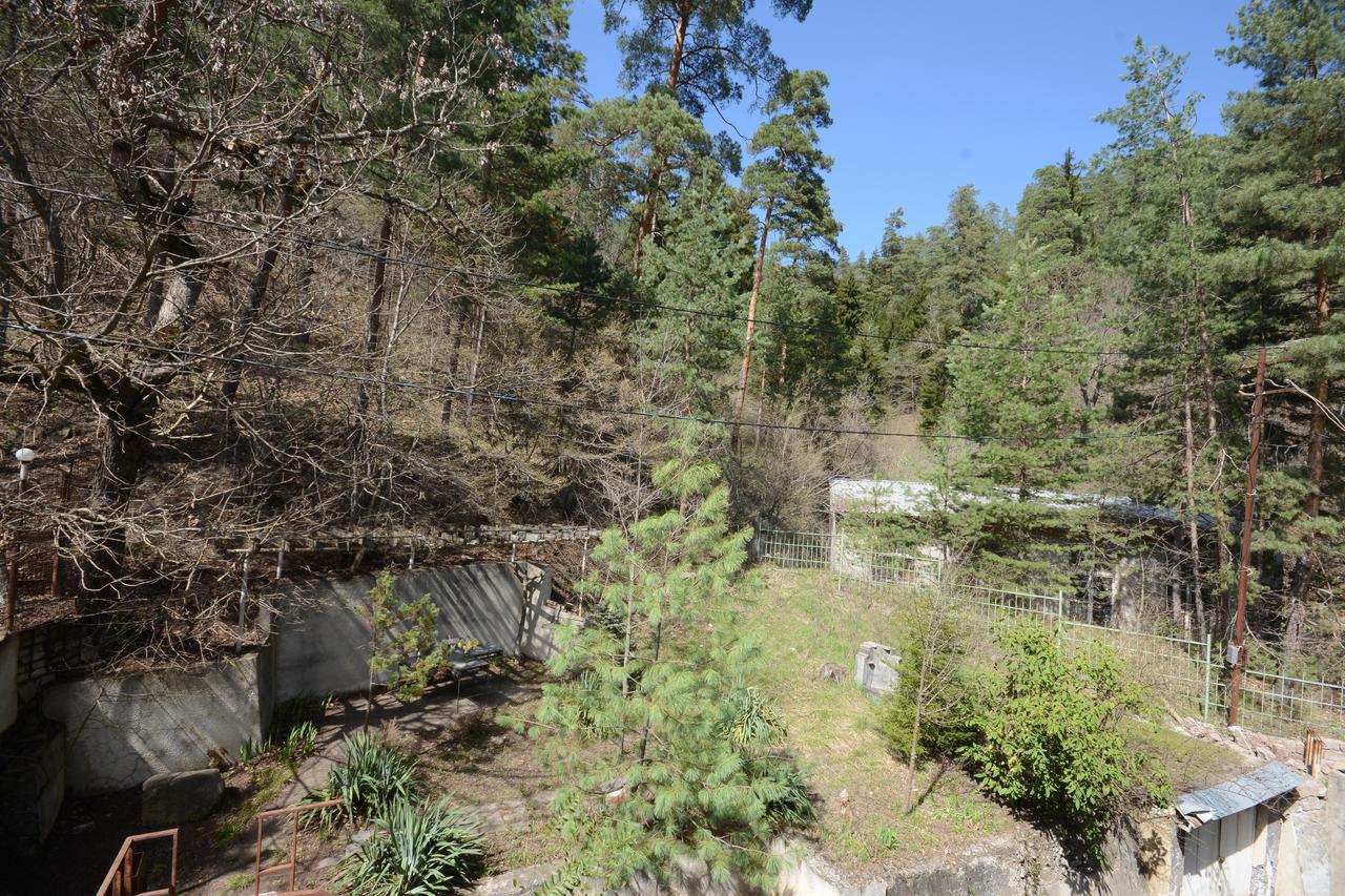Guest House Likani 2017 Borjomi Dış mekan fotoğraf