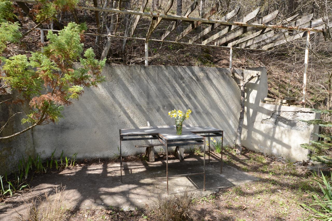 Guest House Likani 2017 Borjomi Dış mekan fotoğraf