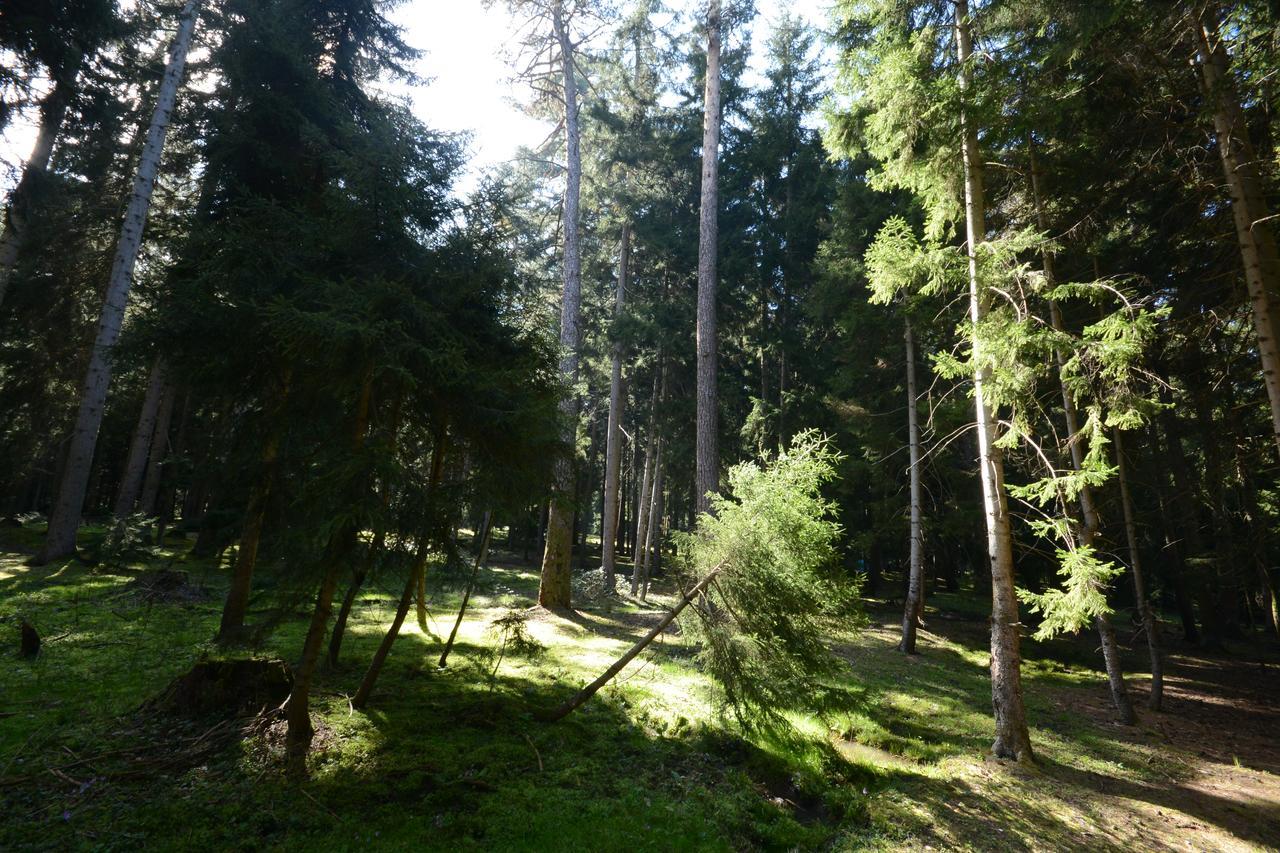 Guest House Likani 2017 Borjomi Dış mekan fotoğraf