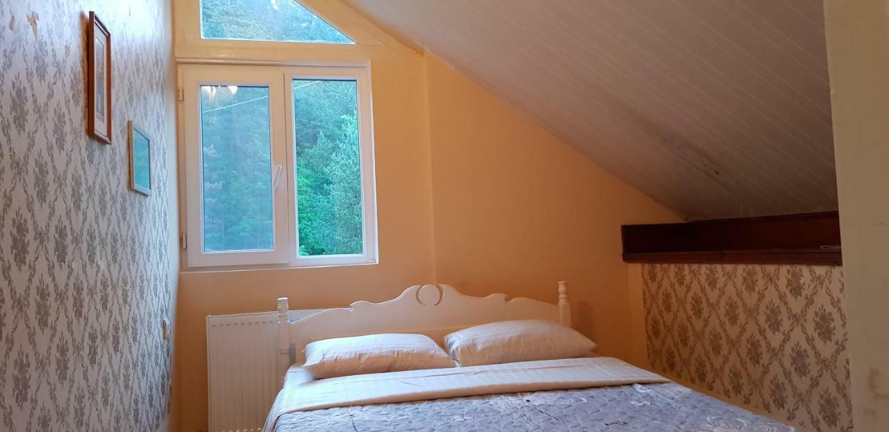 Guest House Likani 2017 Borjomi Dış mekan fotoğraf