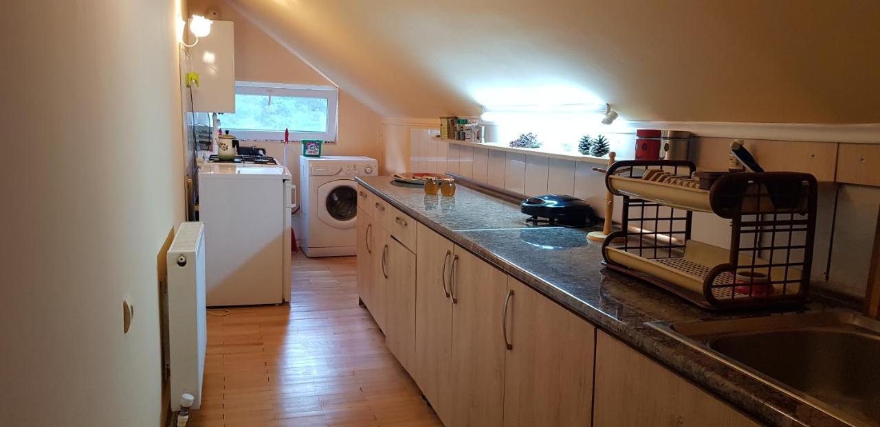 Guest House Likani 2017 Borjomi Dış mekan fotoğraf