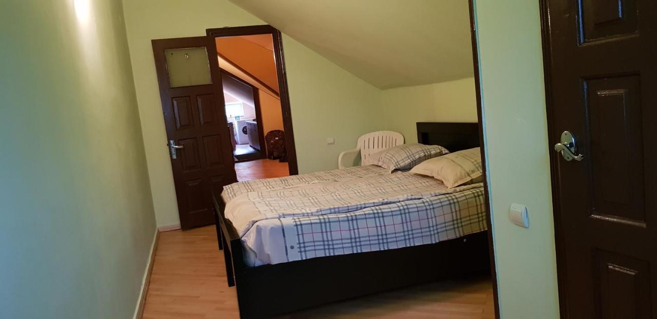 Guest House Likani 2017 Borjomi Dış mekan fotoğraf